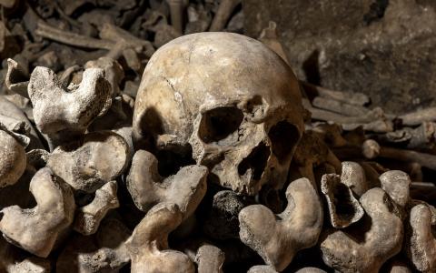A walk underground: visit the catacombs of Paris.